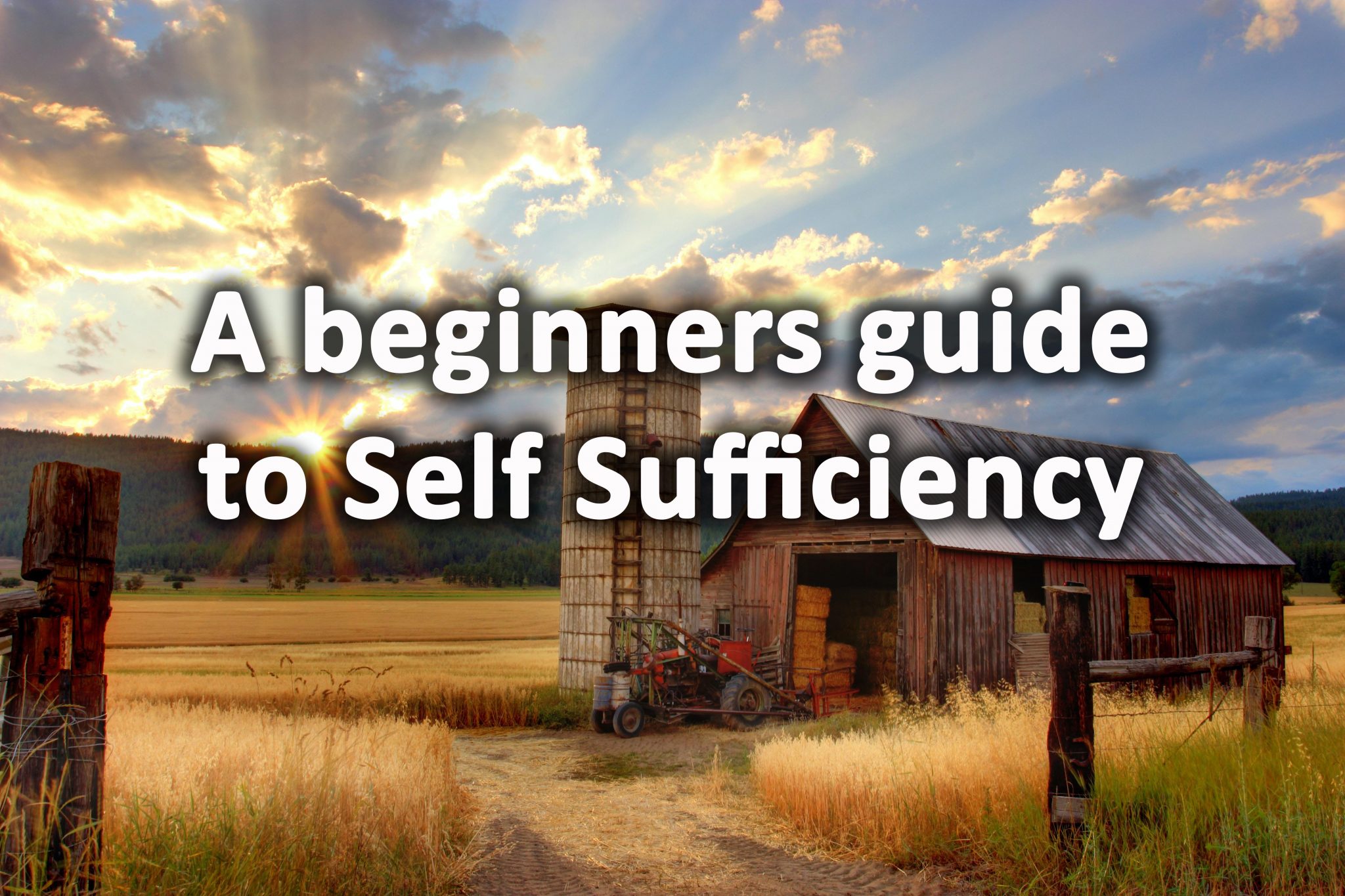 A Beginner s Guide To Self Sufficiency Its Benefits Self Sufficient 