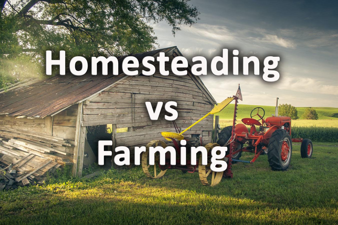 homesteading-verses-farming-what-s-the-difference-self-sufficient