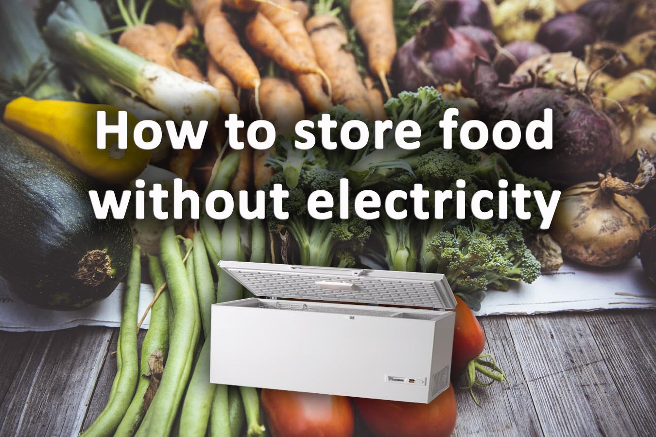 https://www.selfsufficienthomesteading.com/wp-content/uploads/2021/03/How-to-store-food-without-electricity.jpg